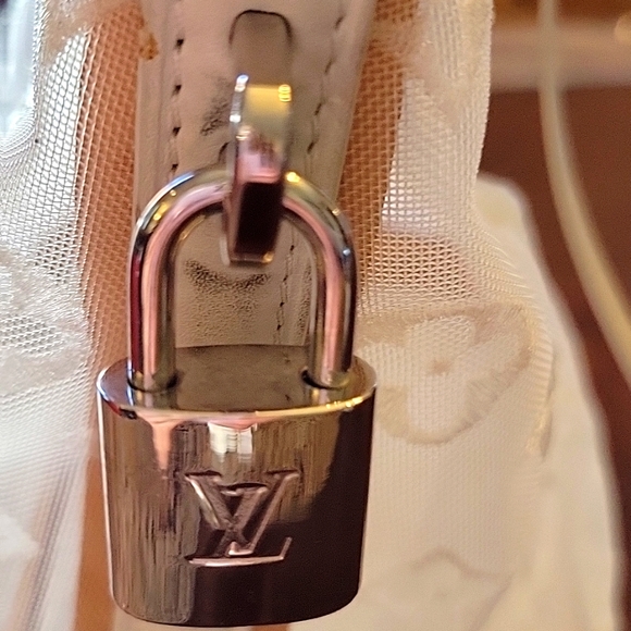 Louis Vuitton Ltd. Ed. Locket Transparence Satchel - Picture 11 of 15